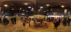 panoramique salon de l'agriculture